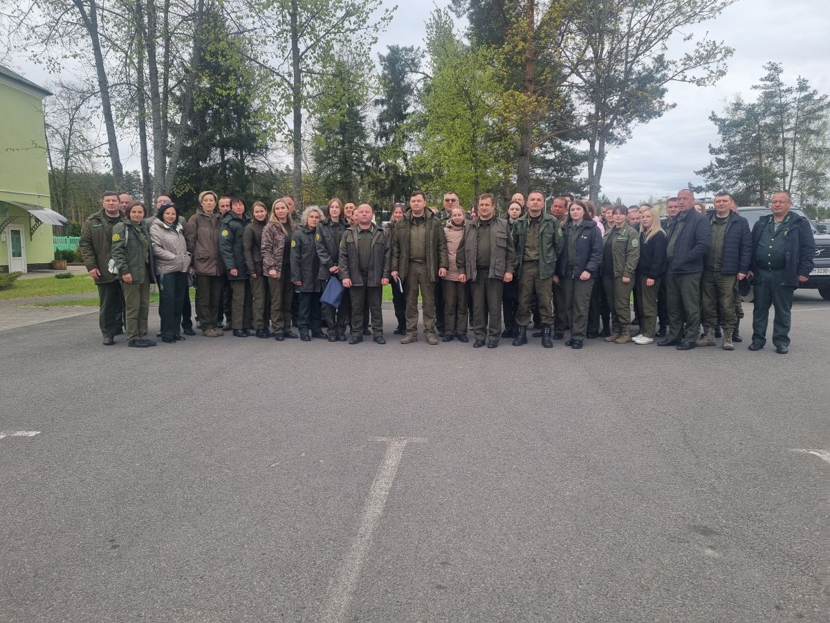 Сегодня Ельский лесхоз стал лесной площадкой Гомельщины.