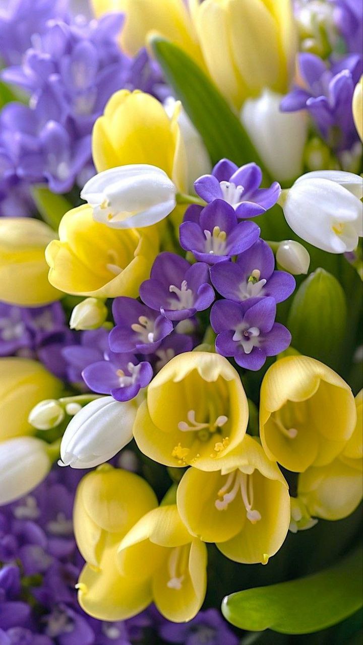 Весны очарование