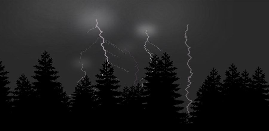 Гроза — это не только свежесть, но и главный враг леса