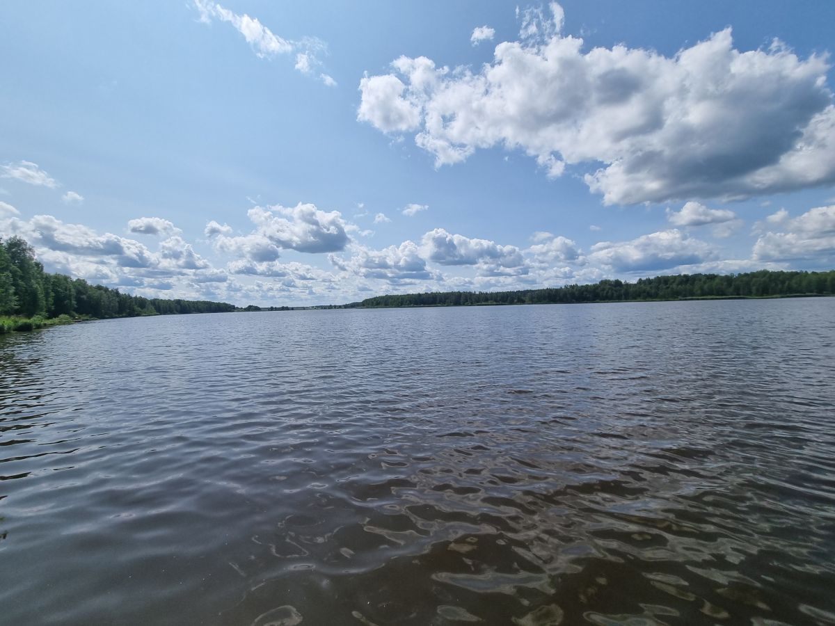 На Бобруйковском водохранилище в Ельском районе закончились республиканские соревнования по рыболовному спорту в дисциплине «Ловля карпа»