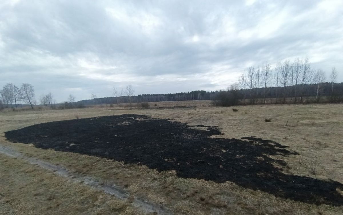 ОДНА СПИЧКА = СГОРЕВШИЙ ЛЕС