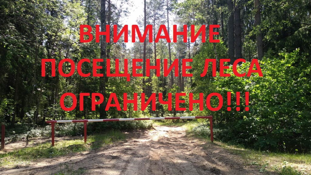 Ограничение на посещение лесов 