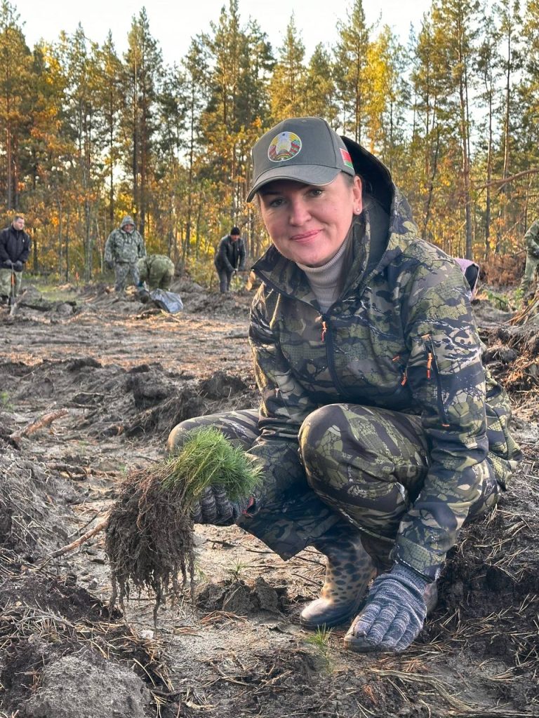 Представители общественных объединений Ельщины возобновляют леса