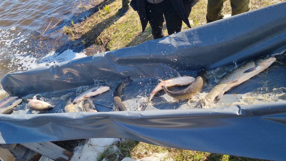 ТИШИНА ПЕРЕД ПЛЕСКОМ!