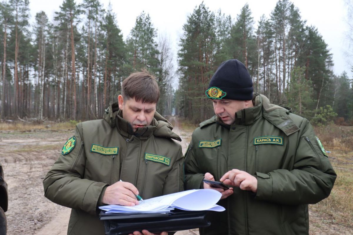 Справиться с задачами в срок. Андрей Карась провел штаб по буреломам в Жлобинском лесхозе