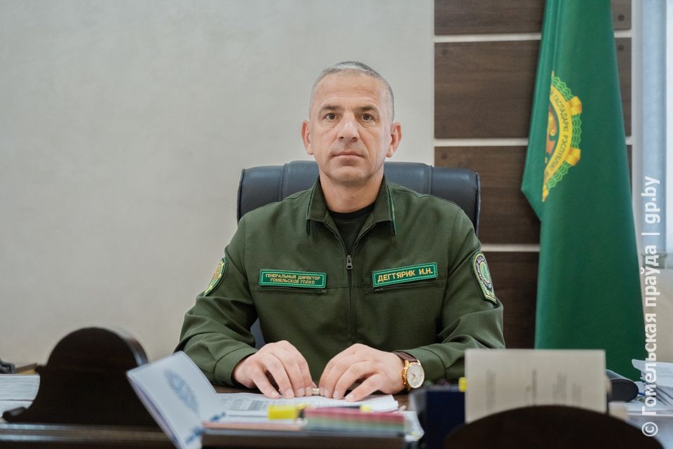 Сберечь и приумножить. С какими успехами отмечают профессиональный праздник лесоводы Гомельщины.