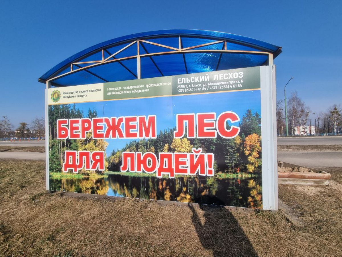 Огромное количество социальной рекламы на лесную тематику размещено в Ельске