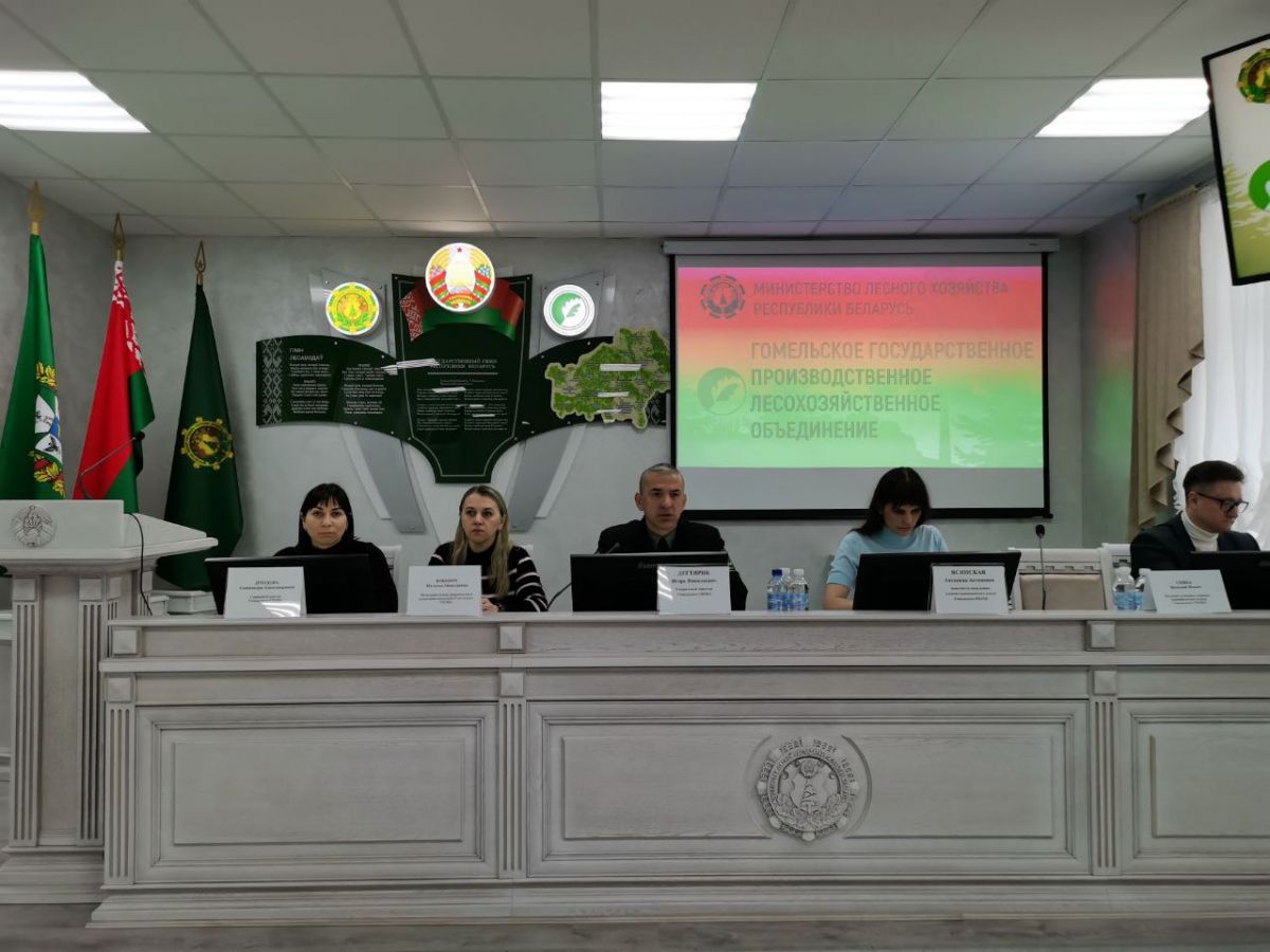  РЕЗУЛЬТАТЫ РАБОТЫ 