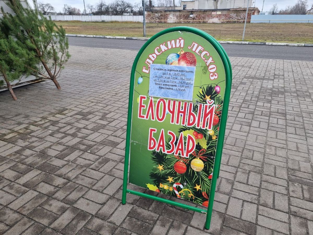 Волшебство начинается! В Ельске открылись ёлочные базары