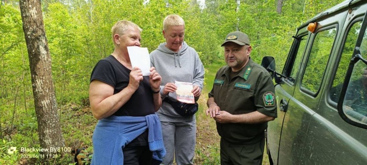 Запрет или ограничение на посещение лесов