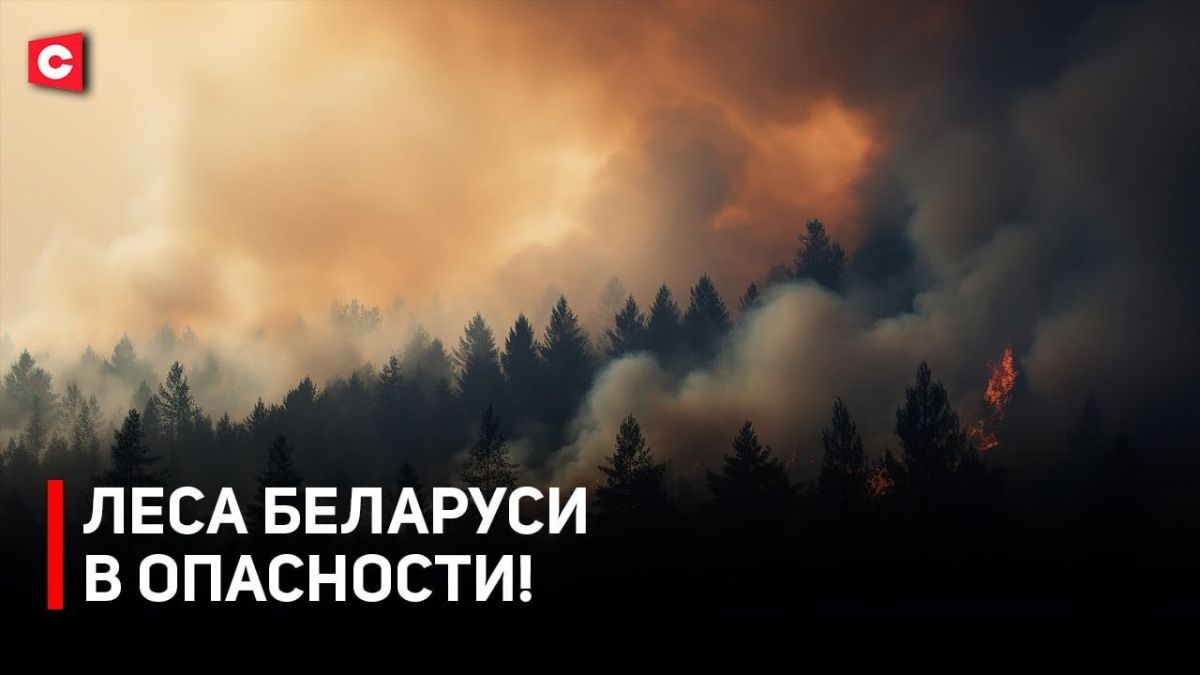 Дачники подпалили мусор и целый лес! Как спасают зелёные массивы от пожаров?