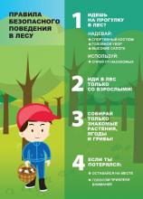 Правила безопасного поведения в лесу для детей