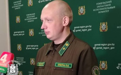 В Гомельском облисполкоме обсудили профилактику лесных пожаров